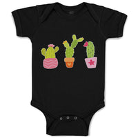 Baby Clothes Cactus An Succulent Plants with Fleshy Stem and Spines Cotton