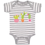 Baby Clothes Cactus An Succulent Plants with Fleshy Stem and Spines Cotton