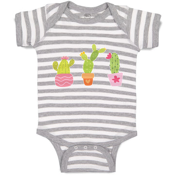 Baby Clothes Cactus An Succulent Plants with Fleshy Stem and Spines Cotton