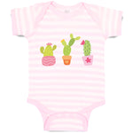 Baby Clothes Cactus An Succulent Plants with Fleshy Stem and Spines Cotton