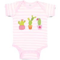 Baby Clothes Cactus An Succulent Plants with Fleshy Stem and Spines Cotton