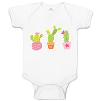 Baby Clothes Cactus An Succulent Plants with Fleshy Stem and Spines Cotton