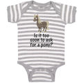 Baby Clothes Young Horse Is It Too Soon to Ask for A Pony Question Mark Sign