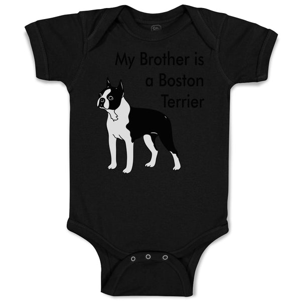 Baby Clothes My Brother Is A Boston Terrier Dog Lover Pet Style C Baby Bodysuits