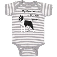 Baby Clothes My Brother Is A Boston Terrier Dog Lover Pet Style C Baby Bodysuits