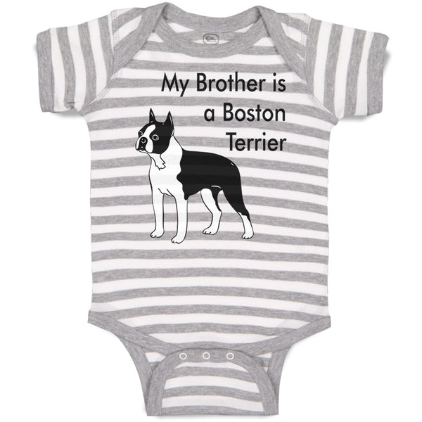 Baby Clothes My Brother Is A Boston Terrier Dog Lover Pet Style C Baby Bodysuits