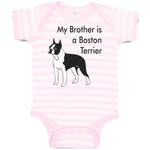 Baby Clothes My Brother Is A Boston Terrier Dog Lover Pet Style C Baby Bodysuits