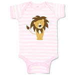 Lion Safari