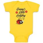 Baby Clothes Cute Granny's Little Ladybug Insect with Flowers Baby Bodysuits