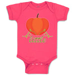 Baby Clothes Little Orange Pumpkin with Stem and Leaf Baby Bodysuits Cotton