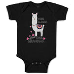 This Llama Loves Her Grandma Domestic Animal