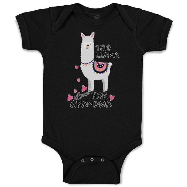 This Llama Loves Her Grandma Domestic Animal