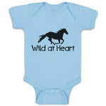 Wild at Heart An Silhouette Horse Running