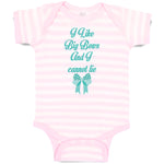 Baby Clothes I like Big Bows and I Cannot Lie Funny Humor Baby Bodysuits Cotton