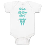 Baby Clothes I like Big Bows and I Cannot Lie Funny Humor Baby Bodysuits Cotton