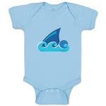 Shark Fin Animals Ocean