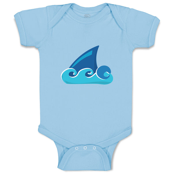 Shark Fin Animals Ocean