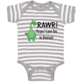 Baby Clothes Rawr! Means I Love You in Dinosaur Dino Baby Bodysuits Cotton