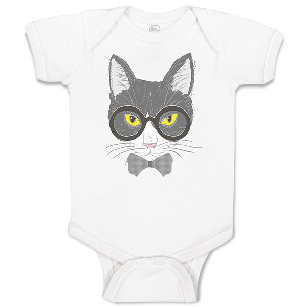 Staring Cat with Sunglass