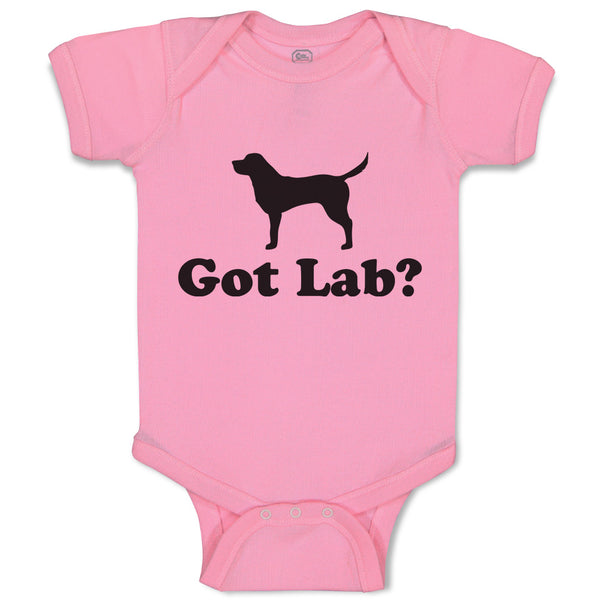 Got Lab Pet Animal Name Dog Standing