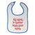 Cloth Bibs for Babies My Mom Is Hotter than Your Mom Mothers Baby Accessories - Cute Rascals