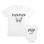 Pets Dogs Pawpaw - Pets Dogs Puppy