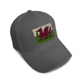 Kids Baseball Hat Wales Embroidery Toddler Cap Cotton