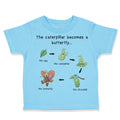 Toddler Clothes How A Caterpillar Becomes A Butterfly Hungry Caterpillar Cotton