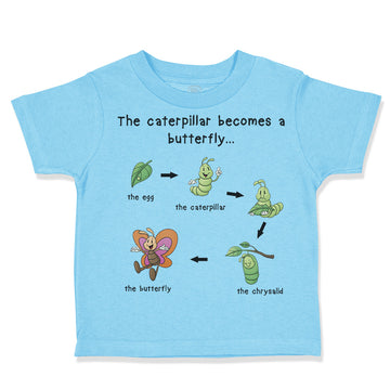 Toddler Clothes How A Caterpillar Becomes A Butterfly Hungry Caterpillar Cotton