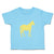 Horse Shadow Animals Farm