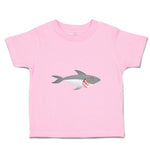 Shark Aggressive Animals Ocean Sea Life