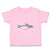 Shark Aggressive Animals Ocean Sea Life