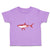 Shark Red Animals Ocean Sea Life