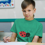 Ladybug