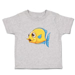 Golden Koi Freshwater Fish Aquarium