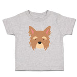 Yorkshire Terrier Breed Face and Head
