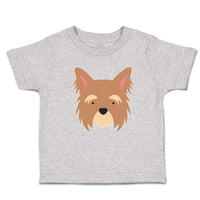 Yorkshire Terrier Breed Face and Head