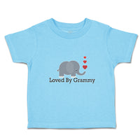 Toddler Clothes Loved by Grammy An Elephant Blowing Heart Symbol Toddler Shirt