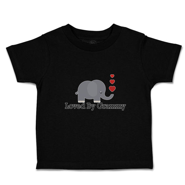 Toddler Clothes Loved by Grammy An Elephant Blowing Heart Symbol Toddler Shirt