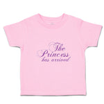 Toddler Girl Clothes The Princess Has Arrived Toddler Shirt Baby Clothes Cotton