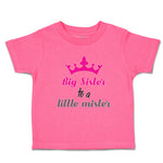 Toddler Girl Clothes Big Sister to A Little Mister with Pink Crown Toddler Shirt