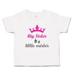 Toddler Girl Clothes Big Sister to A Little Mister with Pink Crown Toddler Shirt