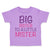Toddler Girl Clothes Big Sister to A Little Mister Toddler Shirt Cotton
