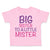 Toddler Girl Clothes Big Sister to A Little Mister Toddler Shirt Cotton