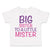 Toddler Girl Clothes Big Sister to A Little Mister Toddler Shirt Cotton