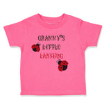 Toddler Girl Clothes Granny's Little Ladybug Grandmother Grandma Toddler Shirt