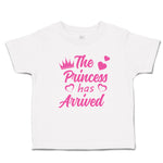 Toddler Clothes The Princess Has Arrived Toddler Shirt Baby Clothes Cotton