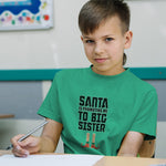 Santa Is Promoting Me to Big Sister