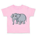 Elephant Safari