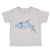 Shark Ocean Sea Life